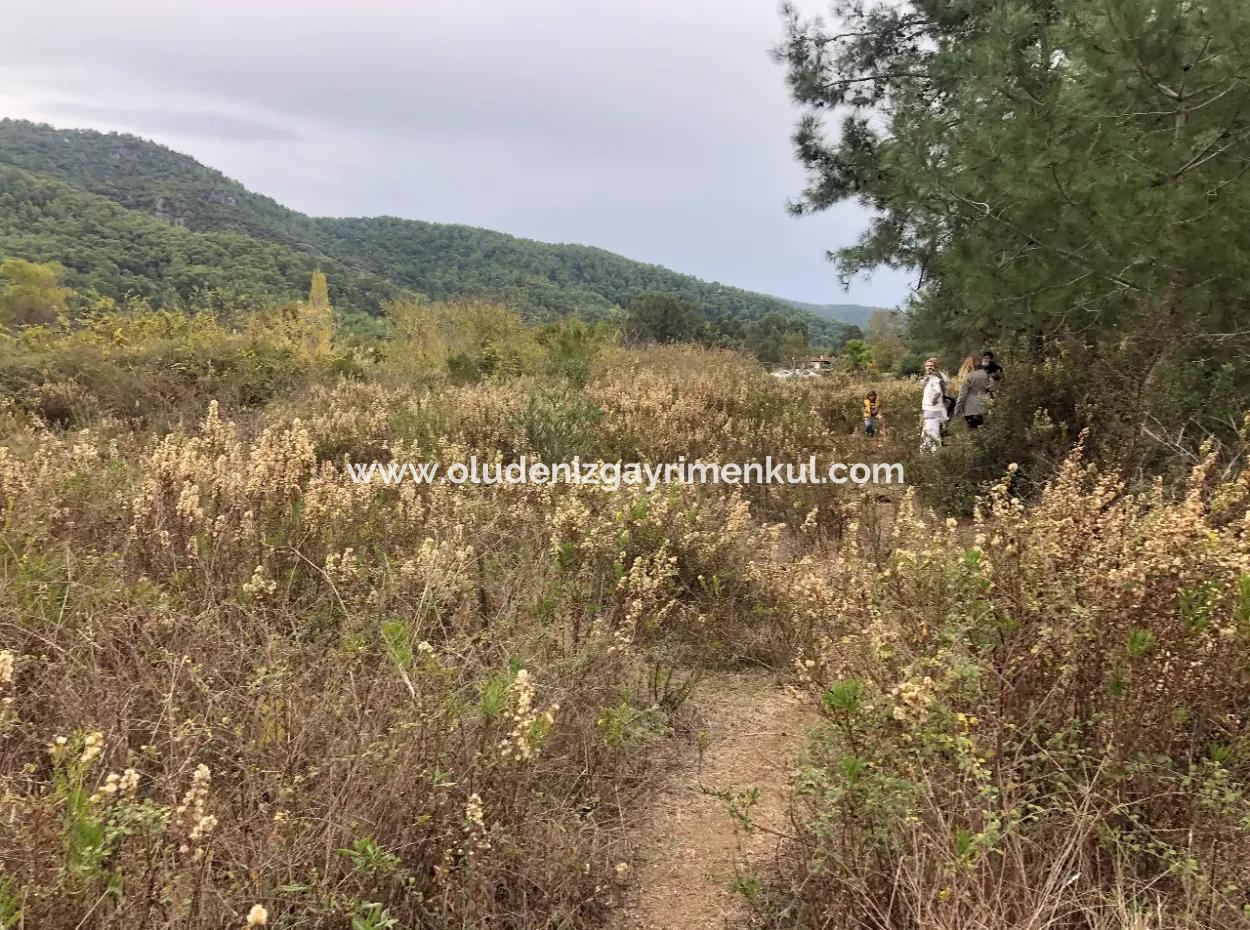 Land Zum Verkauf Null Zu 'Aml' Kanal 28768M2 Land Zum Verkauf Mit Meerblick In Camlida