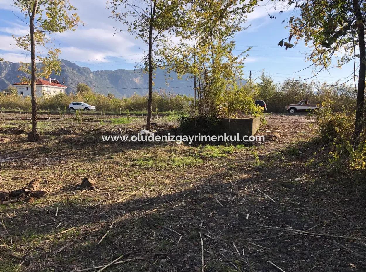 Grundstück Ein Dalyan 2540M2