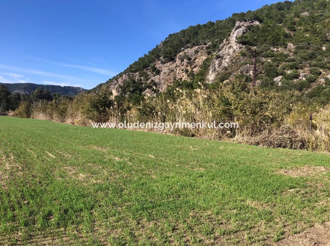 Land Zu Verkaufen In Sar'germede 30.000M2 Land Zum Verkauf Mit Meerblick