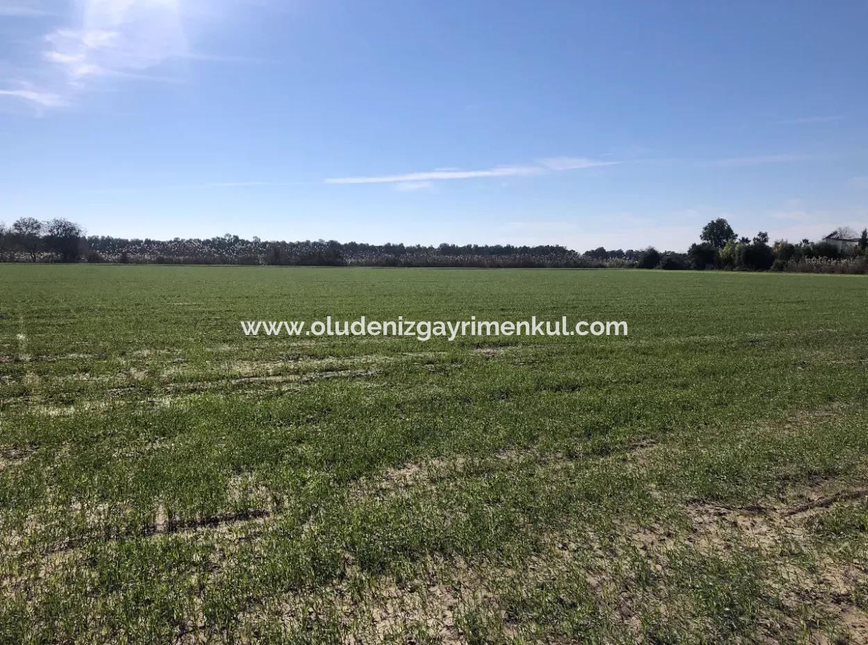 Land Zu Verkaufen In Sar'germede 30.000M2 Land Zum Verkauf Mit Meerblick