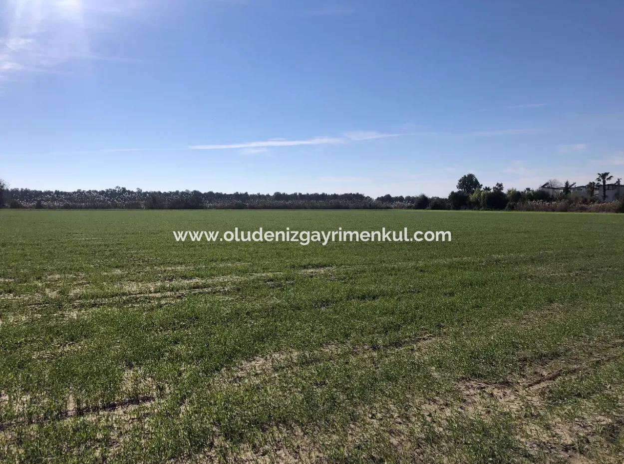 Land Zu Verkaufen In Sar'germede 30.000M2 Land Zum Verkauf Mit Meerblick