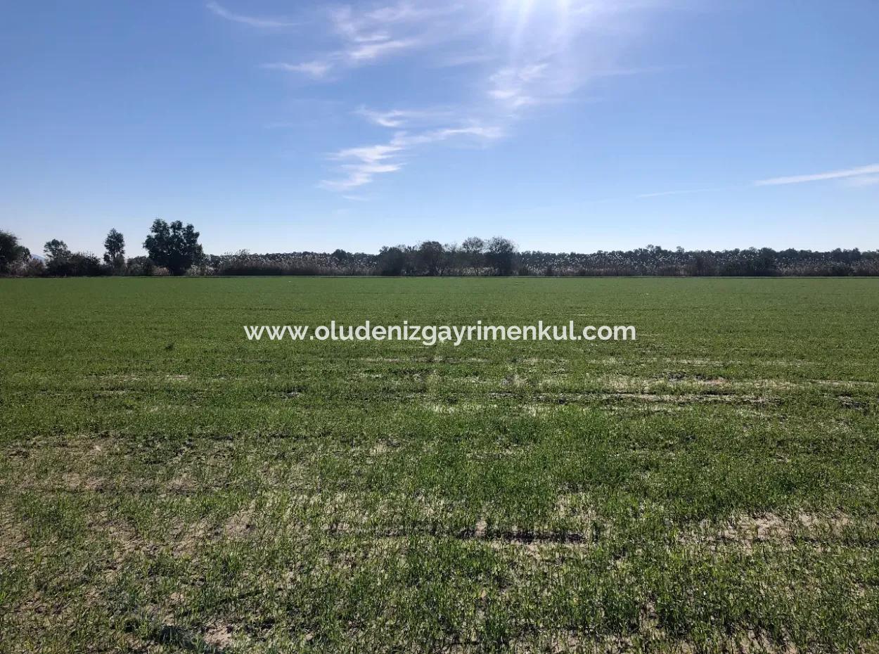 Land Zu Verkaufen In Sar'germede 30.000M2 Land Zum Verkauf Mit Meerblick