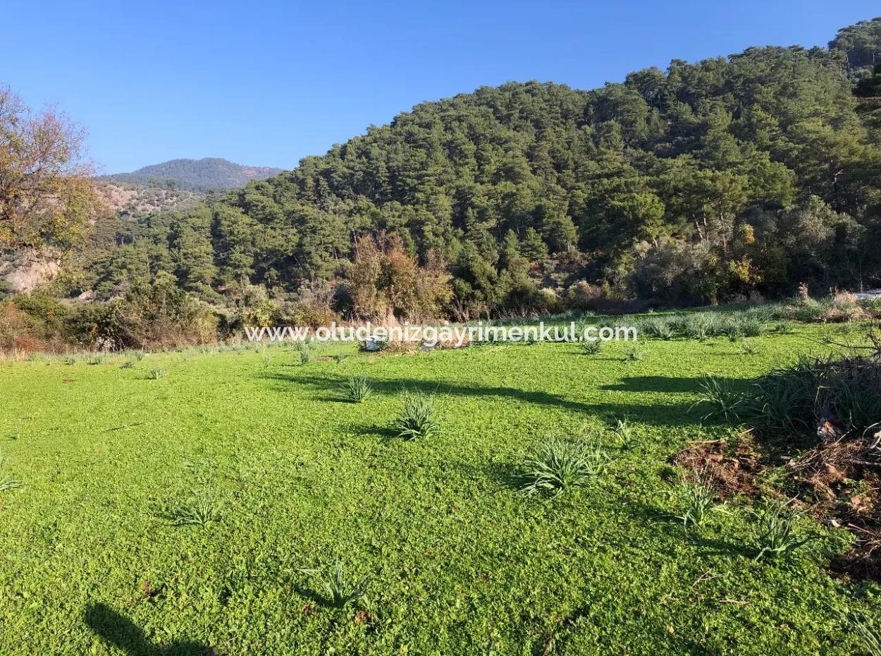 Ekincik Land Zu Verkaufen 10.038M2 Land Zum Verkauf Feld