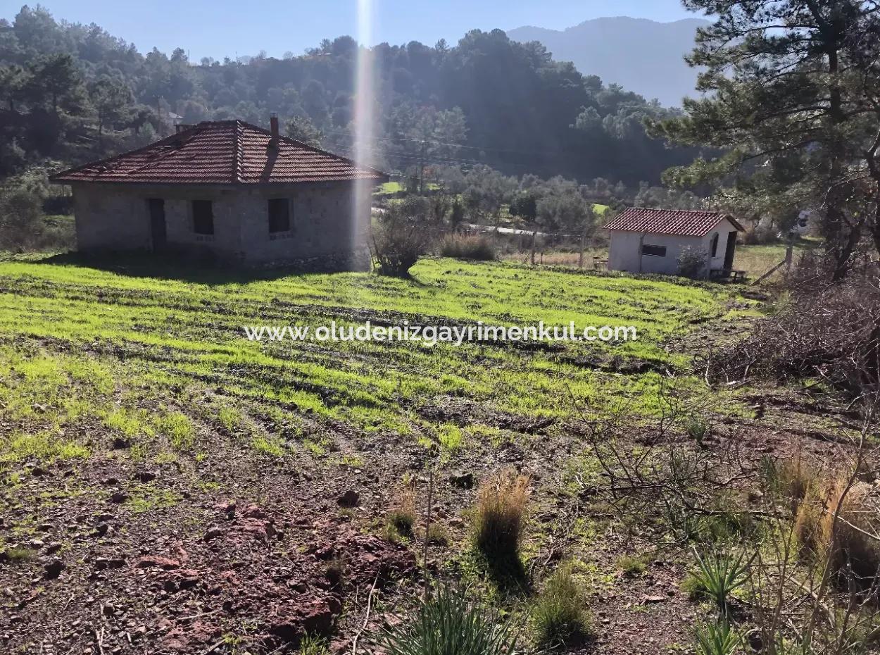 Gokbel Land Zu Verkaufen 8000M2 Land Zum Verkauf Mit Voller Meerblick