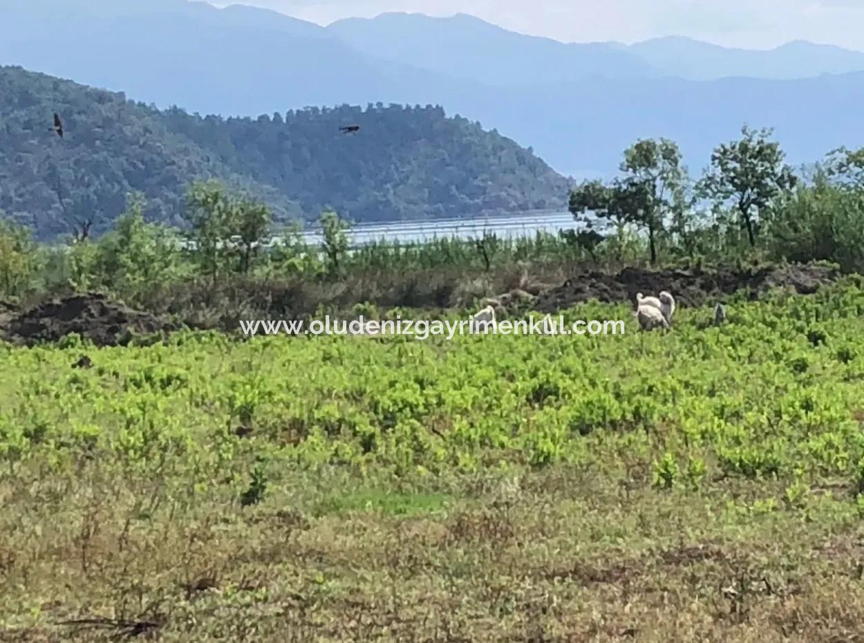 Sultaniye Sultaniye Koycegiz See Grundstück Zum Verkauf Zum Verkauf In By The Sea