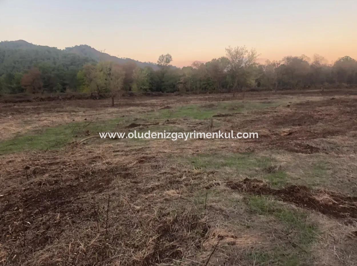 Sultaniye Land For Sale Near 10577M2 Lake Land For Sale