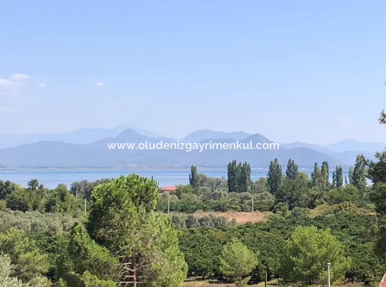 Sultaniye Land For Sale Near 10577M2 Lake Land For Sale
