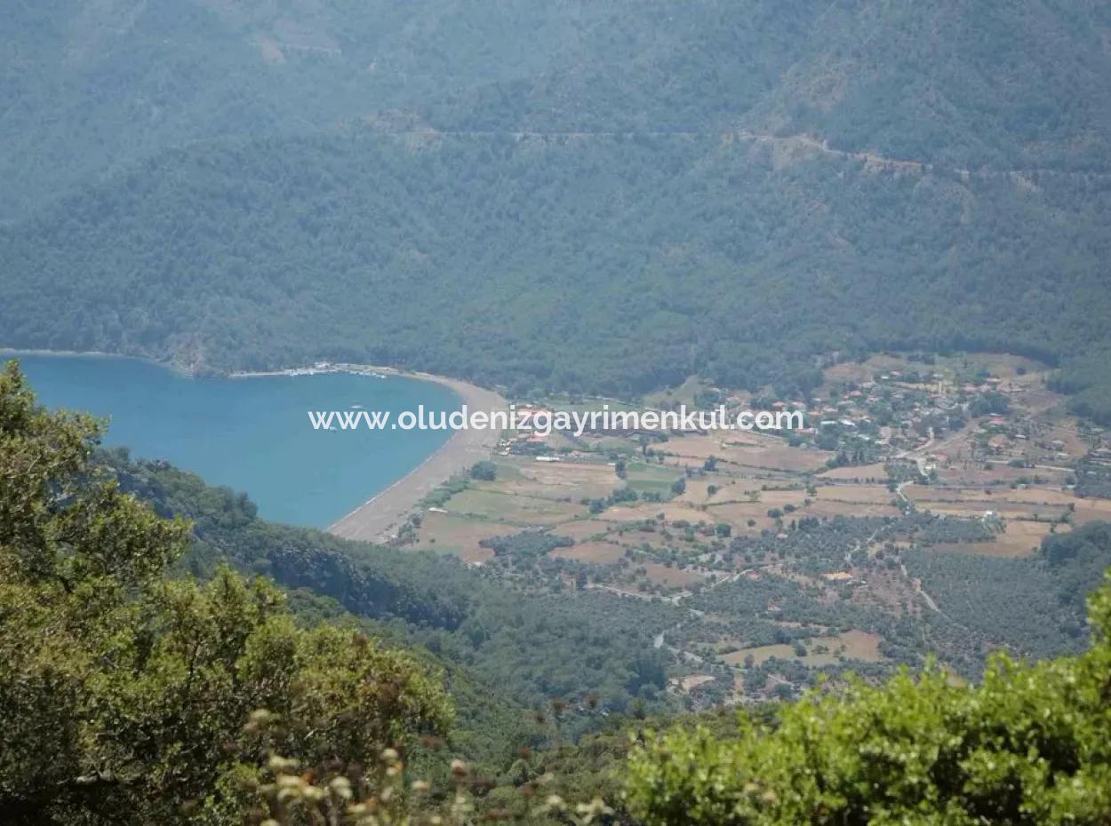 Ekincik Land Zu Verkaufen Ganz In Der Nähe Des Meeres 2000M2 Land Zu Verkaufen