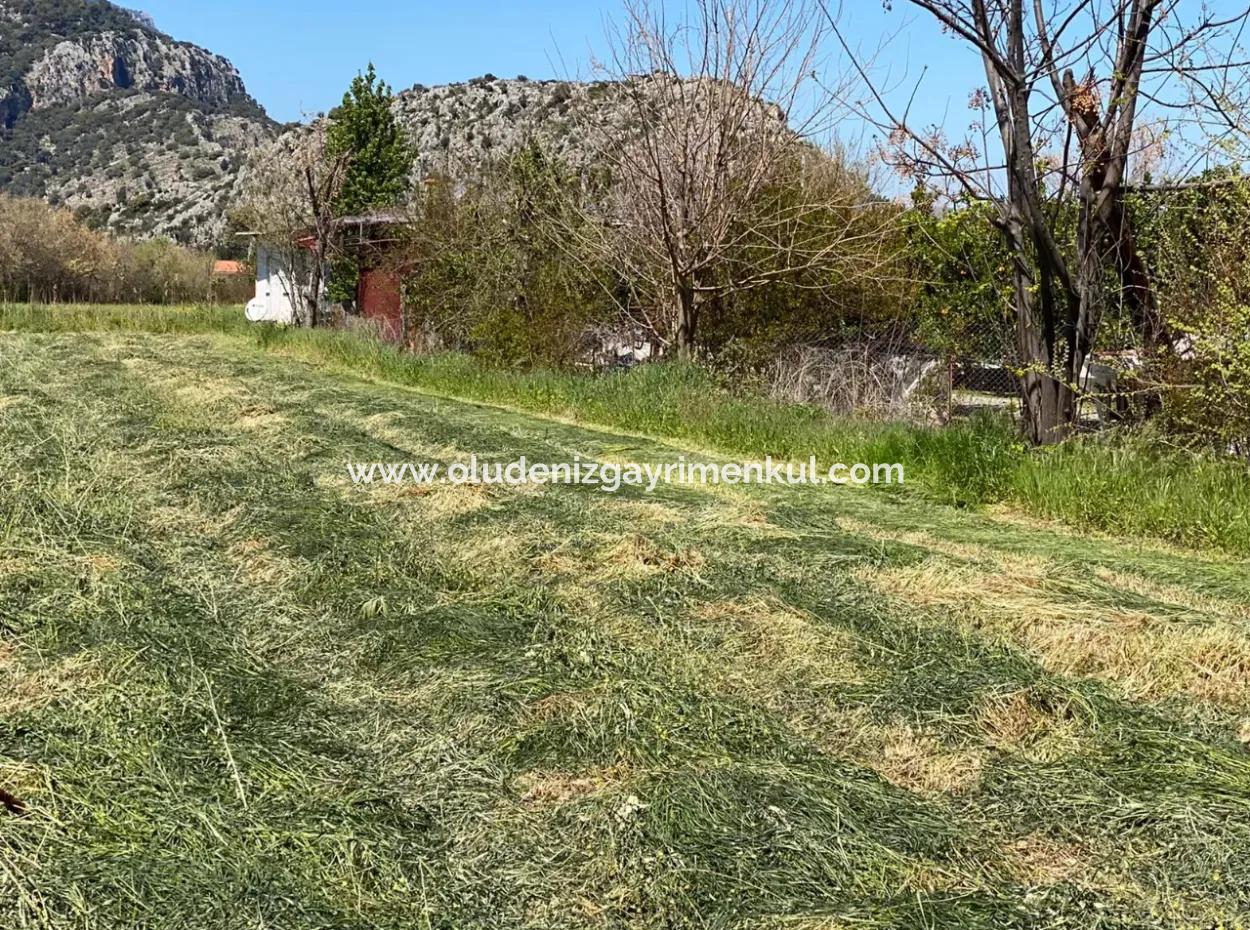 3700M2 Grundstück Zu Verkaufen In Dalyan