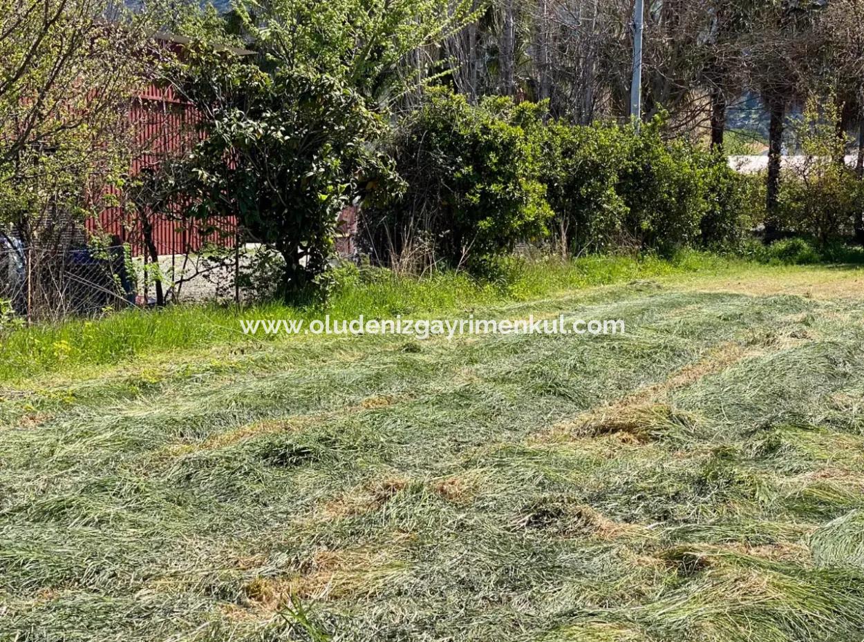 3700M2 Grundstück Zu Verkaufen In Dalyan