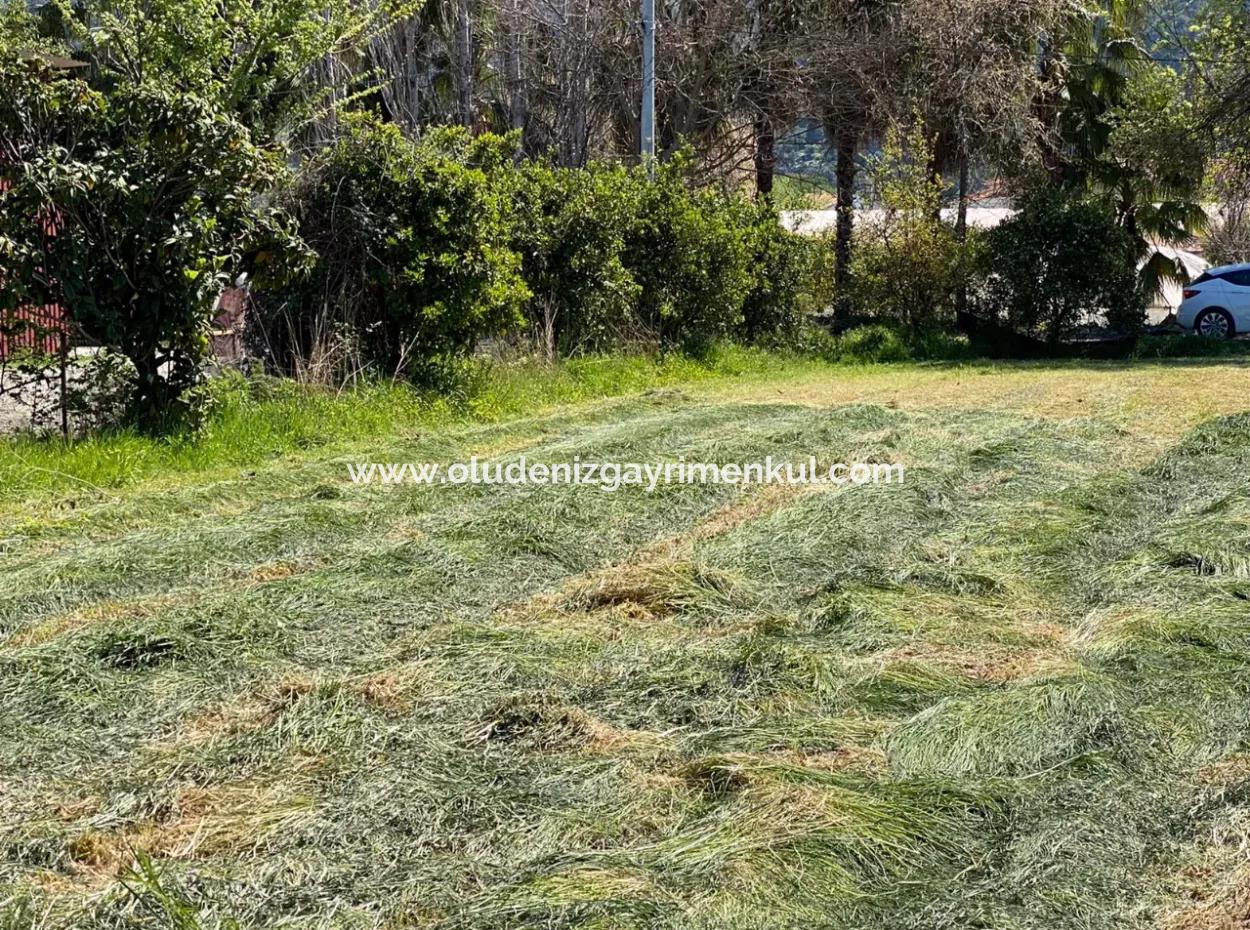 3700M2 Grundstück Zu Verkaufen In Dalyan