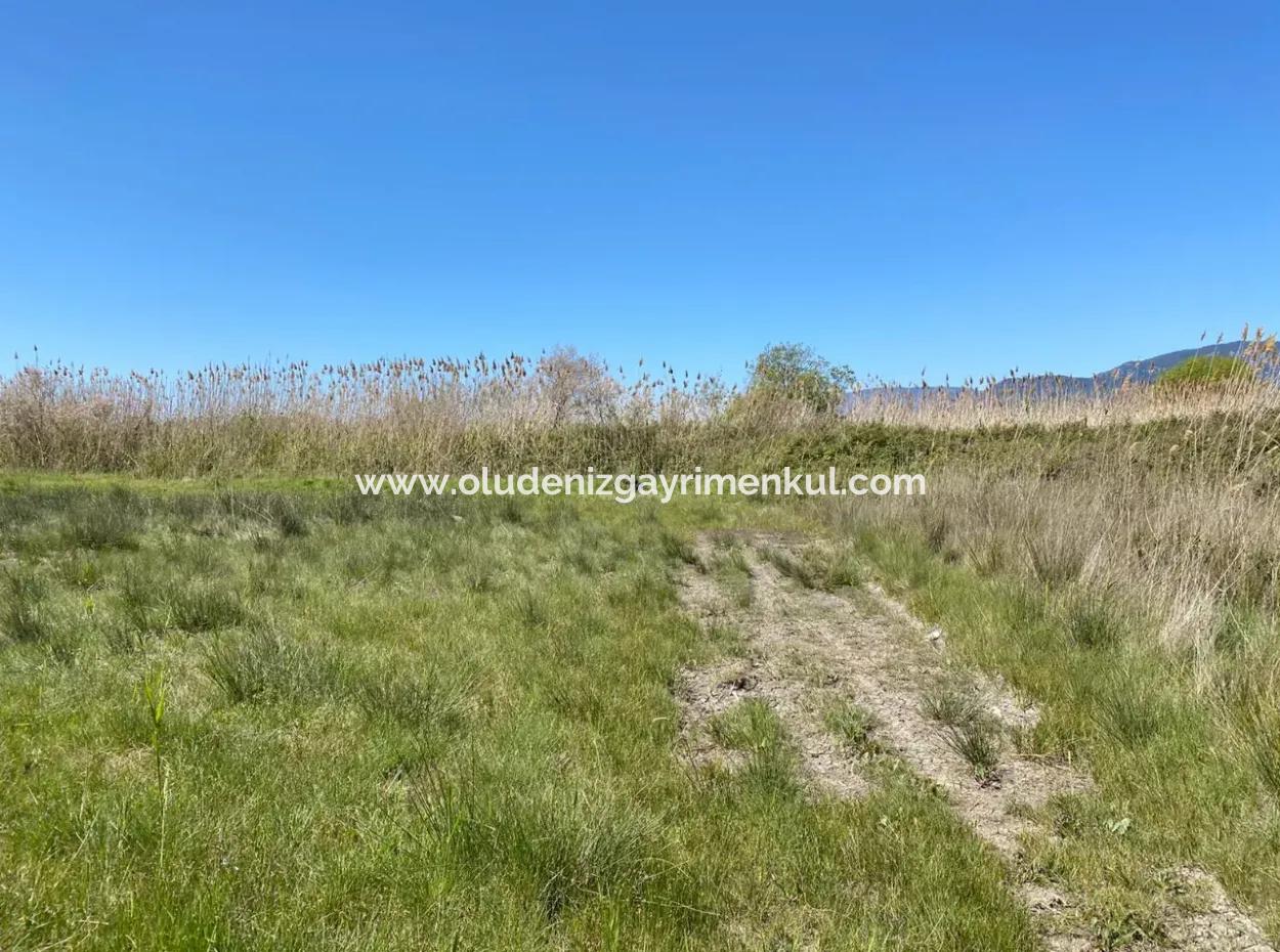 9310M2 Grundstück Zu Verkaufen In Dalyan