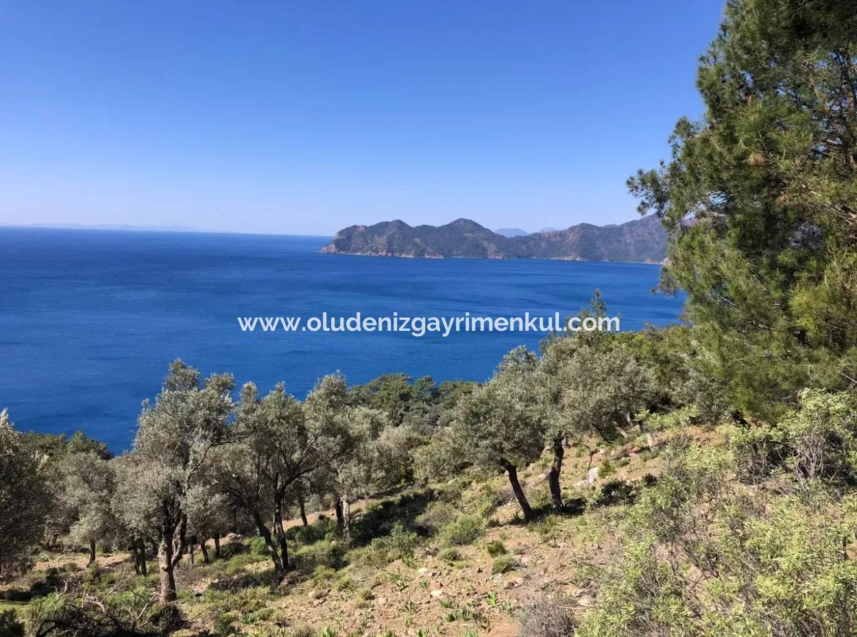 Grundstück Zum Verkauf Mit Meerblick In Çandir