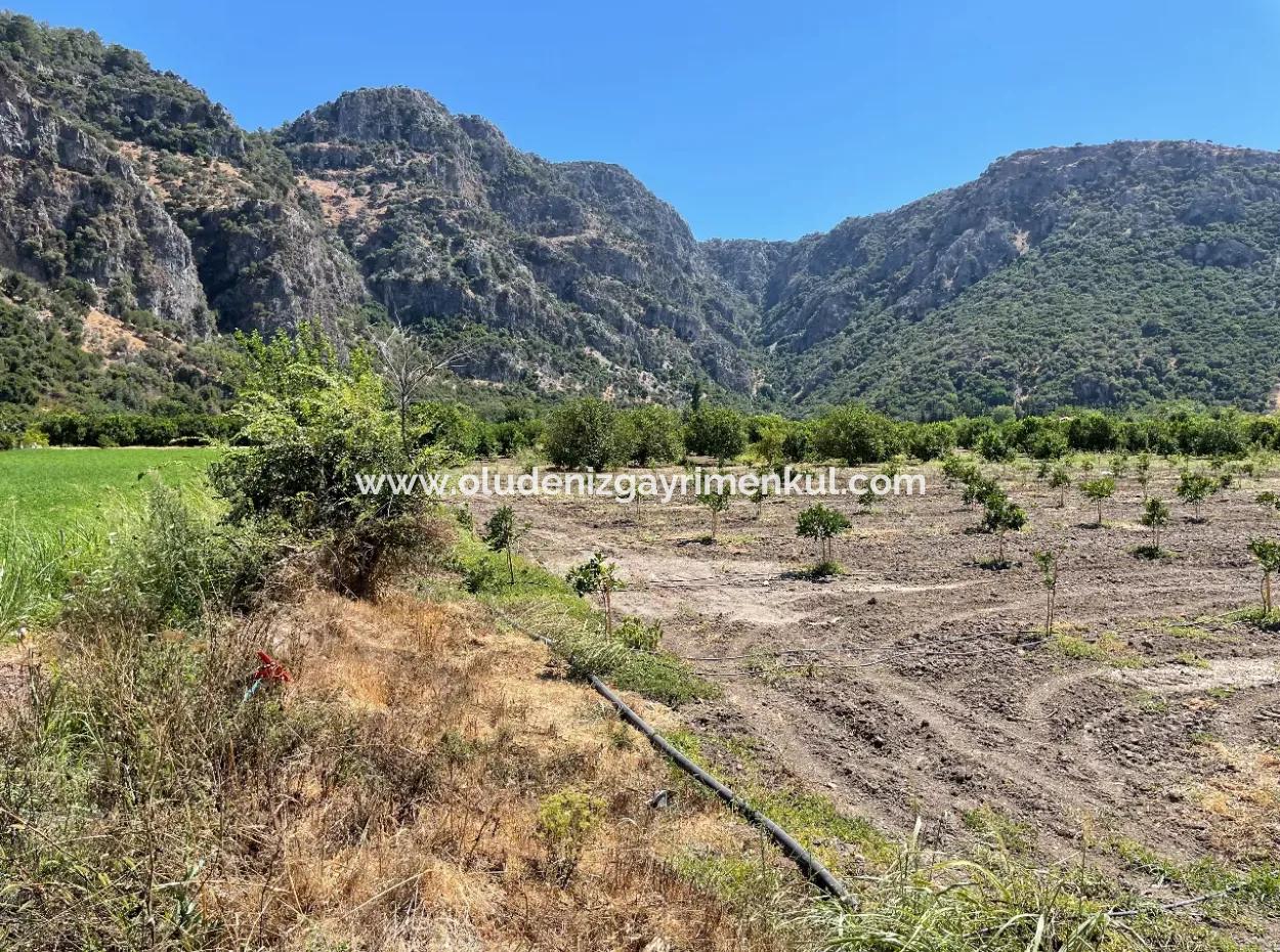 Okçular Land Zum Verkauf In Marmarlı 6500M2