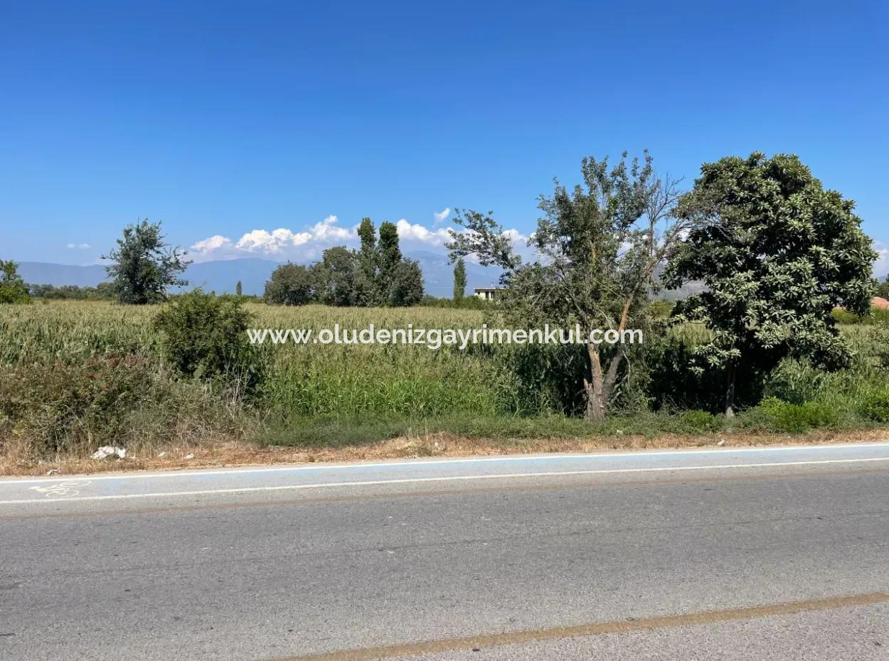 Dalyan Hauptstraße Null Grundstück Zum Verkauf 8115M2 Gewerbegrundstück Zum Verkauf