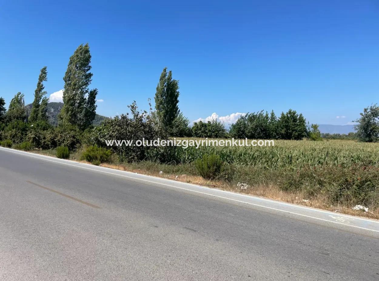 Dalyan Hauptstraße Null Grundstück Zum Verkauf 8115M2 Gewerbegrundstück Zum Verkauf