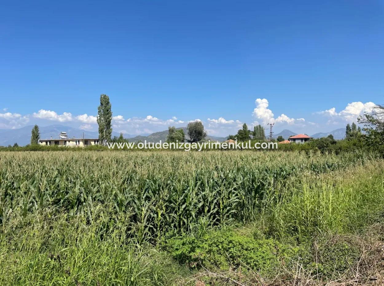 Dalyan Hauptstraße Null Grundstück Zum Verkauf 8115M2 Gewerbegrundstück Zum Verkauf