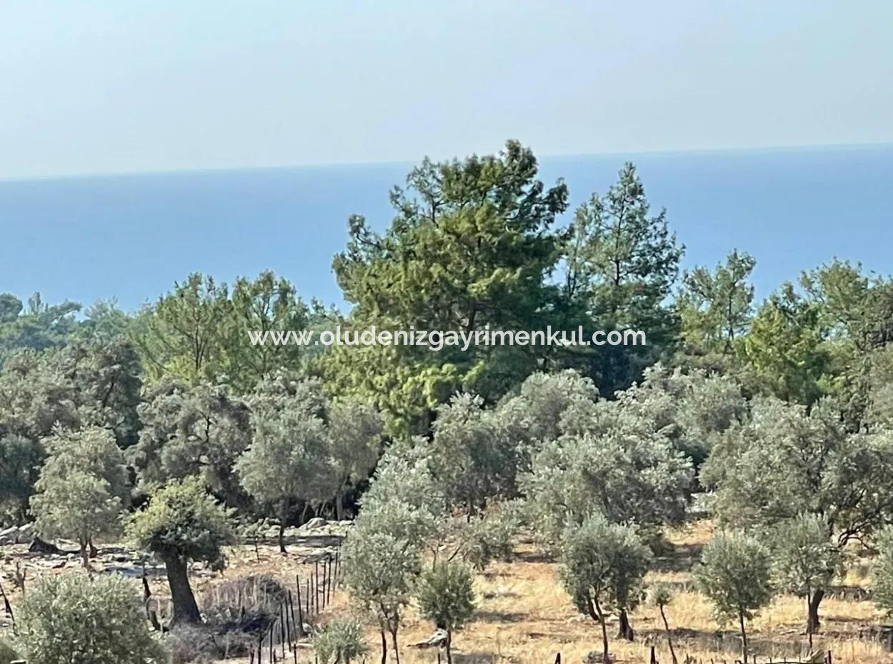 Feldgrundstück Zum Verkauf Mit Meerblick Von Çandir