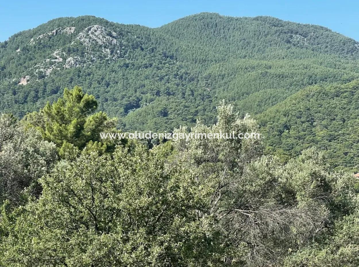 Grundstück Zum Verkauf Mit Meerblick In Gokbel