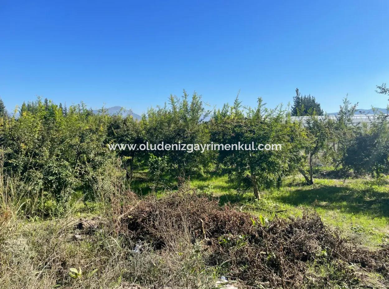 2223M2 Felder Zum Verkauf In Dalyan