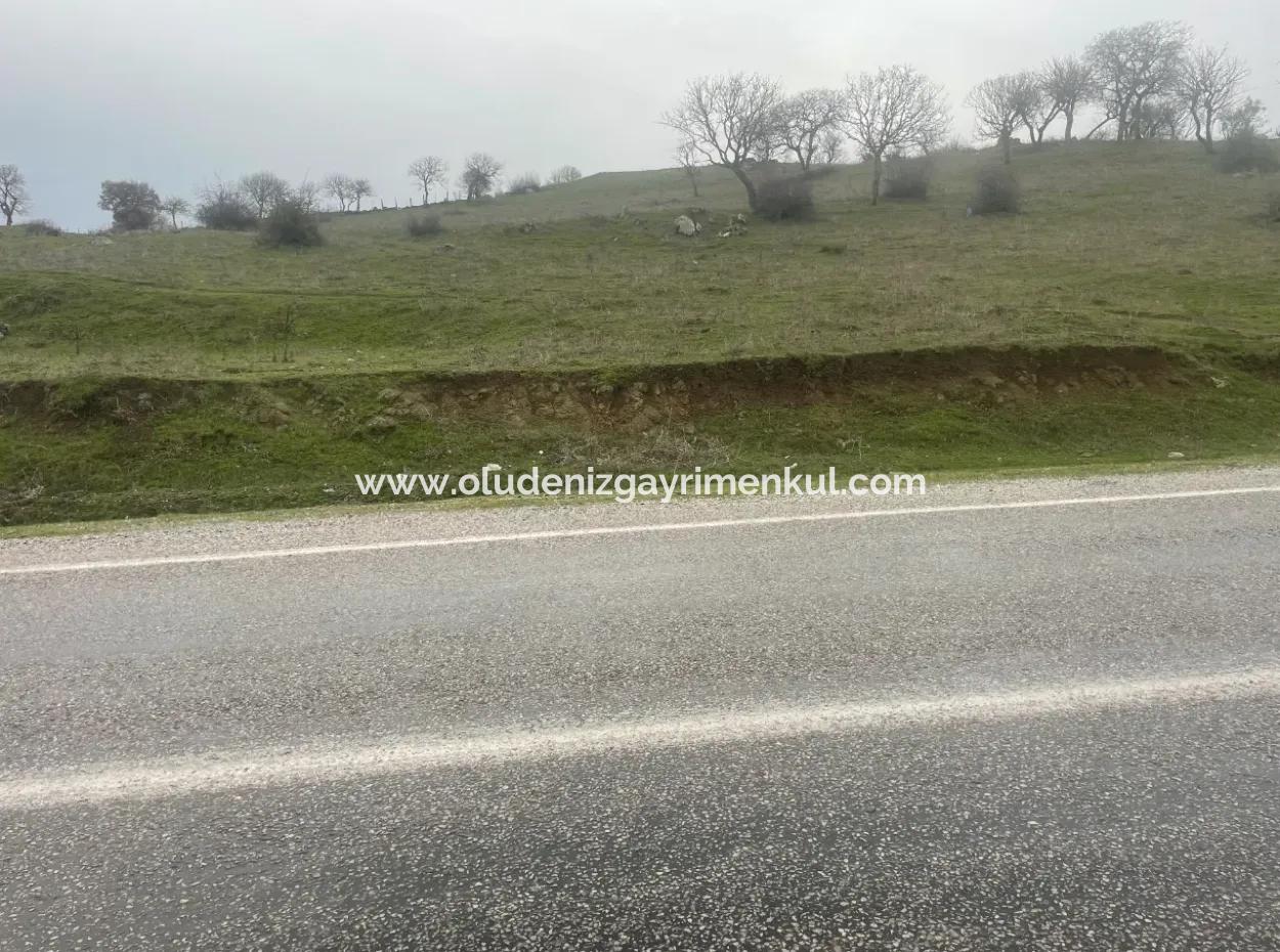 Balikesir Bale Kayaköy Land Zum Verkauf