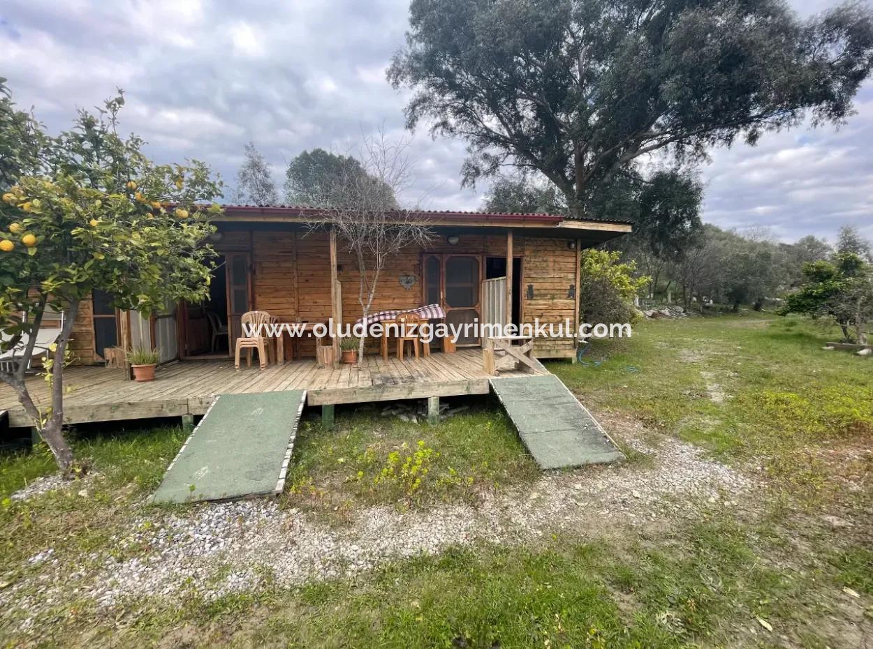 Dalyan Boutique Hotel Zum Verkauf Bungolevler Zum Verkauf In 11.000M2 Grundstück