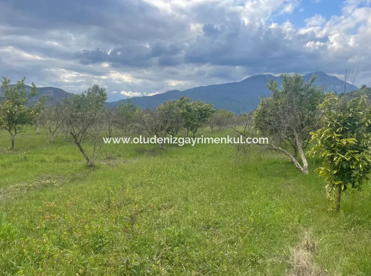 Dalyan Boutique Hotel Zum Verkauf Bungolevler Zum Verkauf In 11.000M2 Grundstück