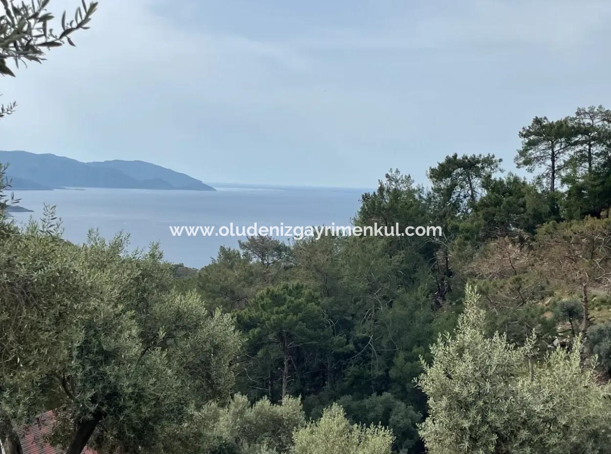 Olivenhaus Mit Meerblick In Ekincik Steht Zum Verkauf
