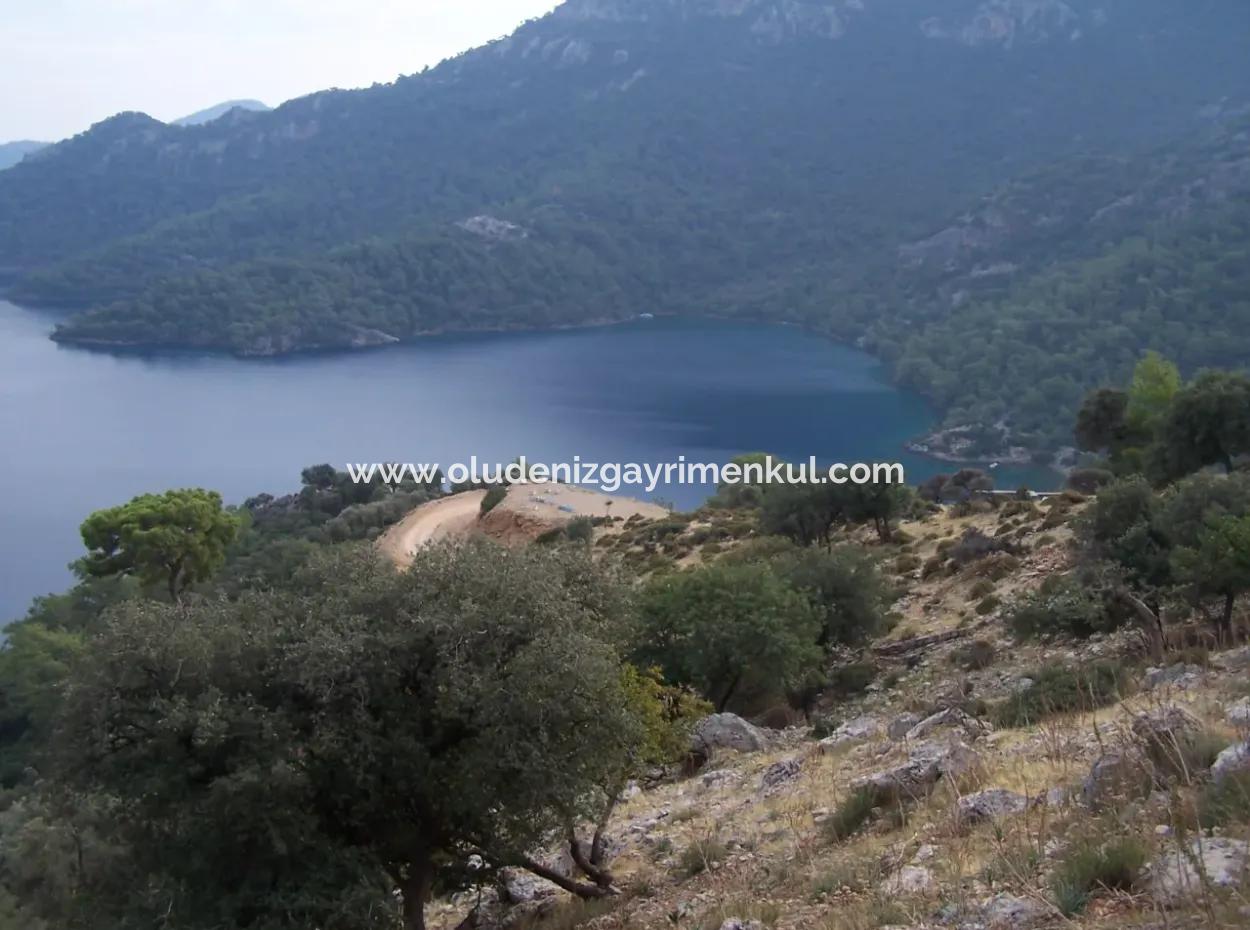 Steinhaus Zum Verkauf In Sarsalada Meerblick 4274M2 Grundstück