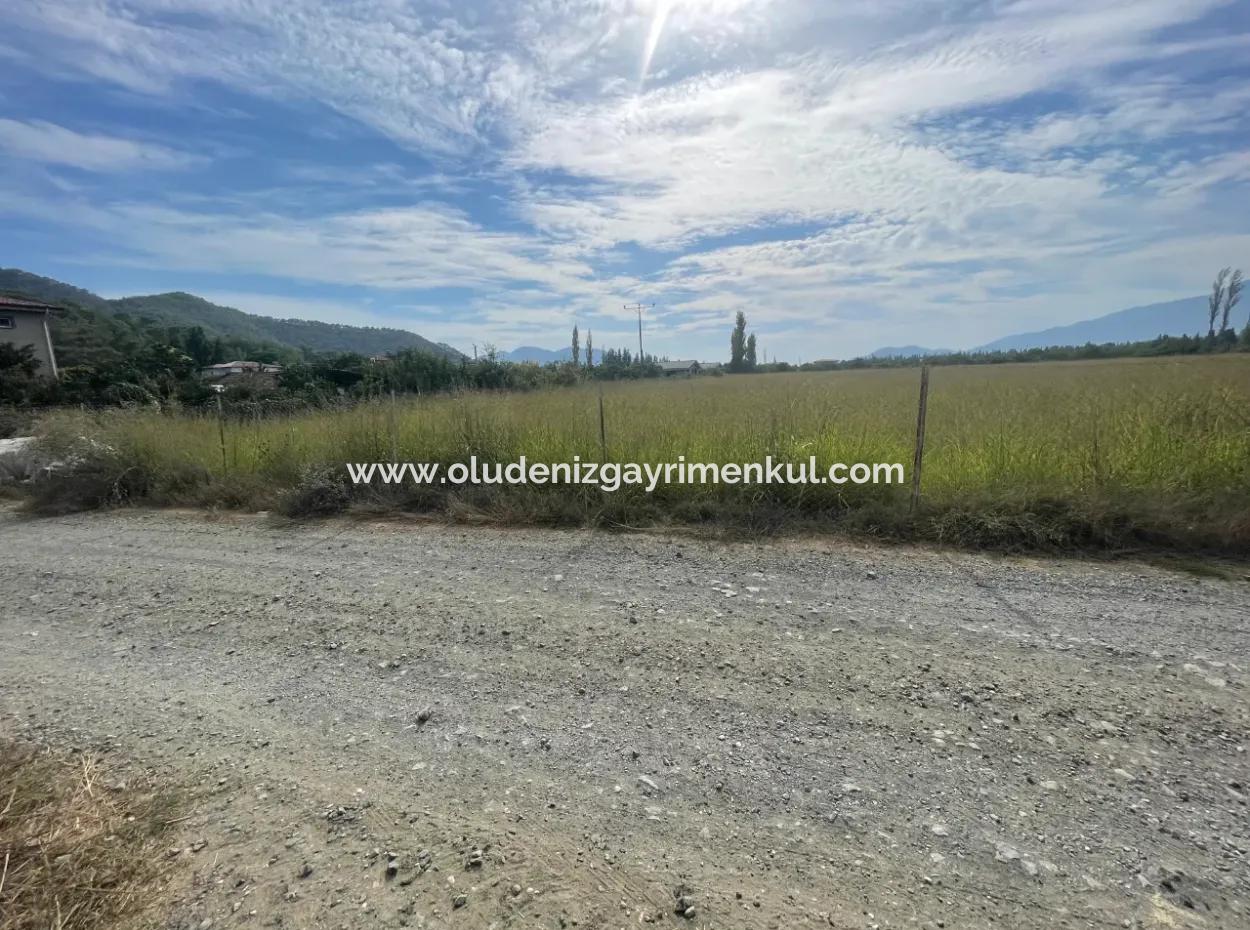 4000M2 Land Zum Verkauf In Bebautem Gebiet In Tepearasin