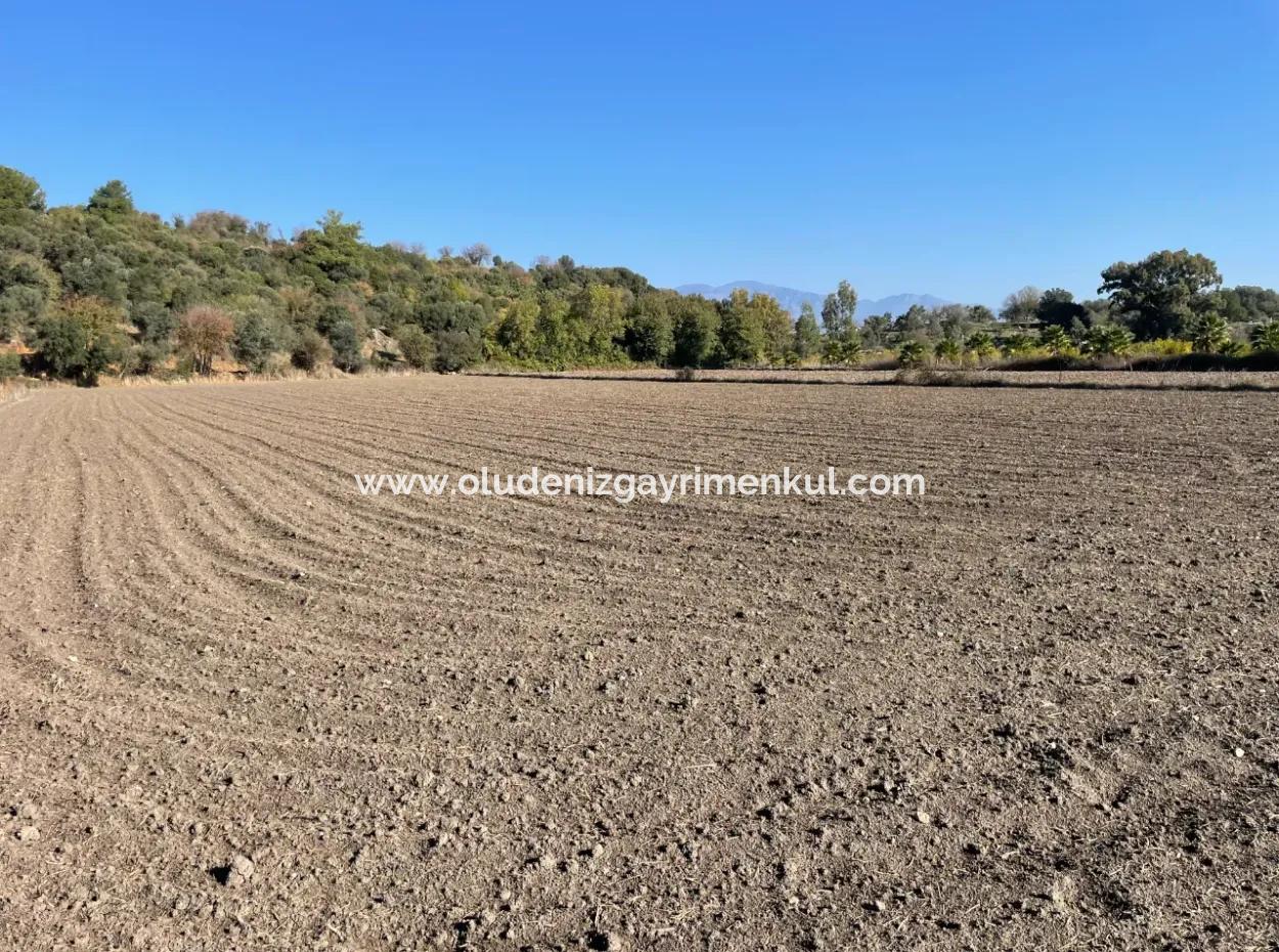 6254M2 Feld Zum Verkauf In Der Nähe Von Dalyan In Eskiköy