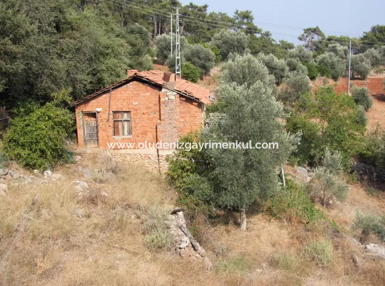 5000M2 Grundstück Zum Verkauf In Akyaka Mit Vollem Meerblick Haus Zum Verkauf Kentucky
