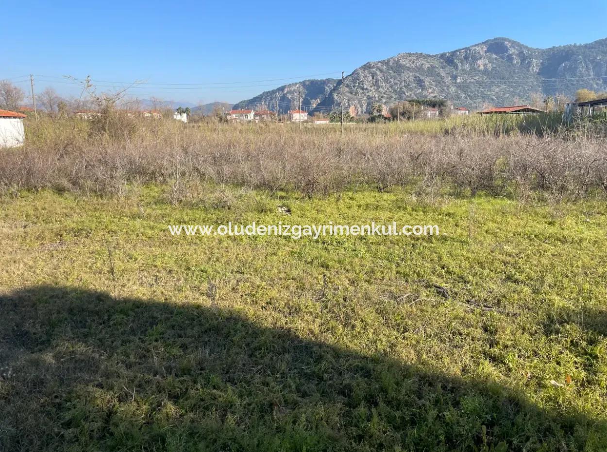 Dalyan 1000M2 Köşebaşı Grundstück Zum Verkauf