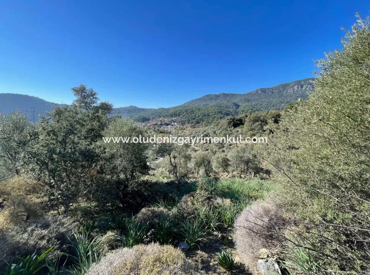 950M2 2B Feld Zum Verkauf Mit Meer- Und Seeblick In Çandır