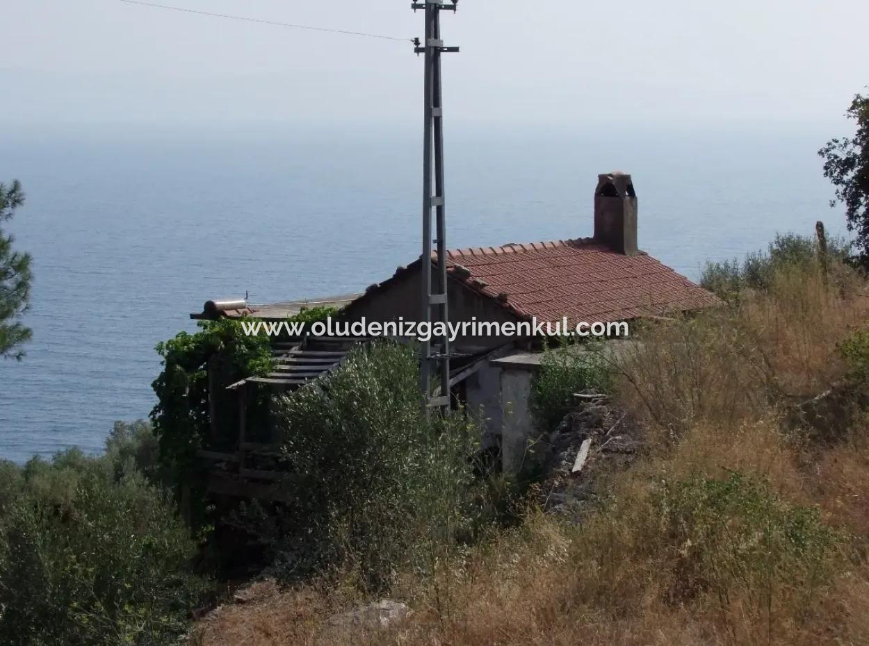 5000M2 Grundstück Zum Verkauf In Akyaka Mit Vollem Meerblick Haus Zum Verkauf Kentucky