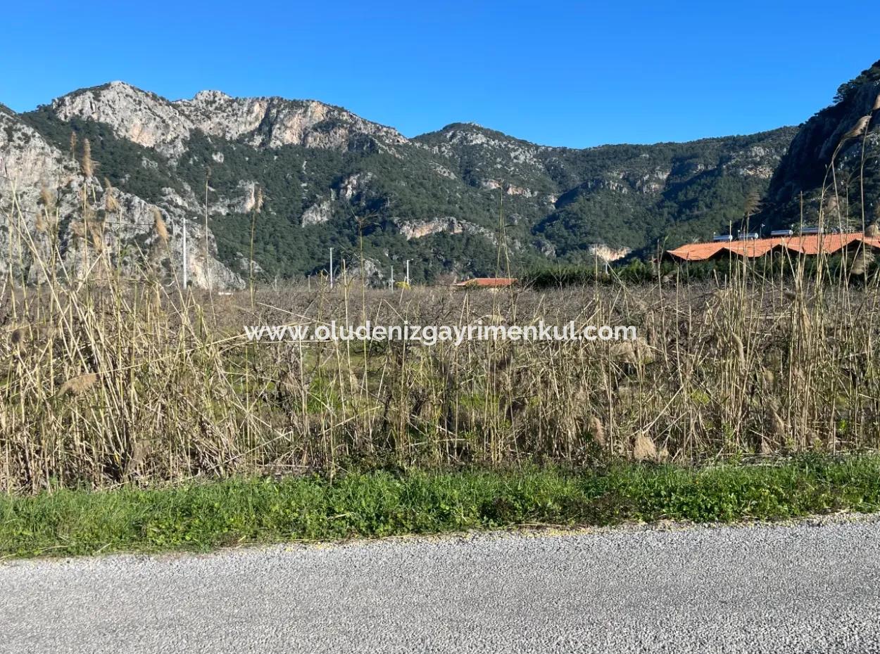 Dalyan Iztuzu Road Zero 5216M2 Feldgrundstück Zum Verkauf