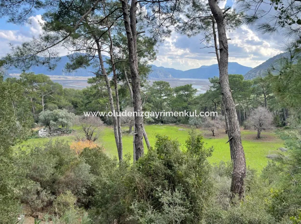 10.707M2 2B Feld Zu Verkaufen Mit Meerblick See In Çandır
