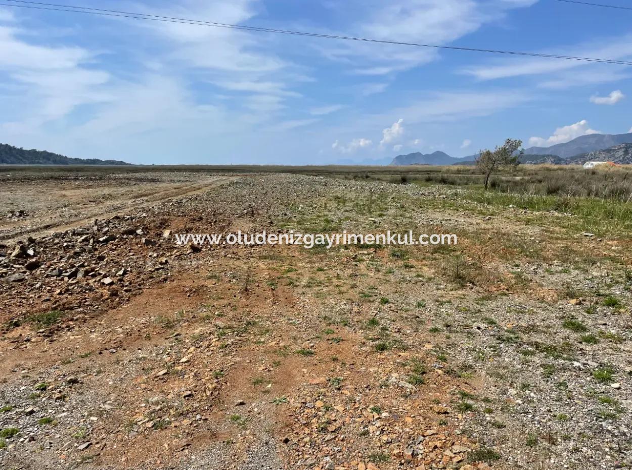 Dalyan Iztuzu Strand Straße Null 19.600M2 Feld Land Zum Verkauf