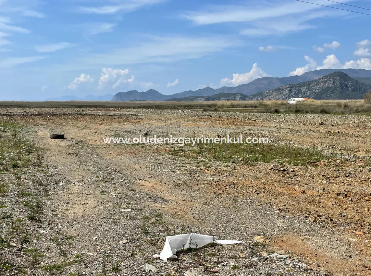 Dalyan Iztuzu Strand Straße Null 19.600M2 Feld Land Zum Verkauf