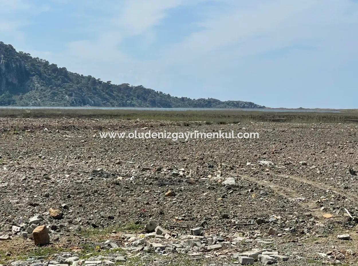 Dalyan Iztuzu Strand Straße Null 19.600M2 Feld Land Zum Verkauf