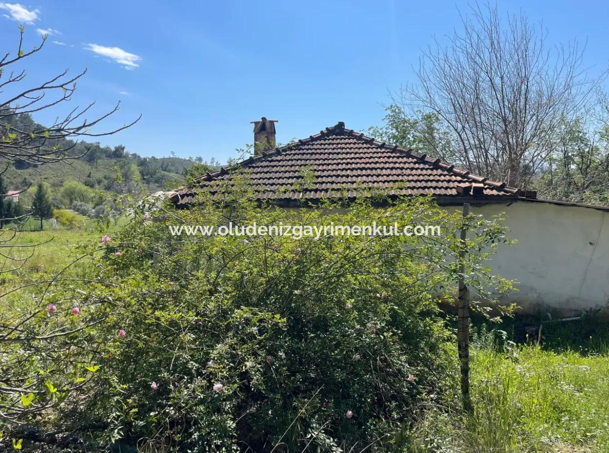 Mehrfamilienhaus Zum Verkauf In 5650M2 Feld In Zeytinalann