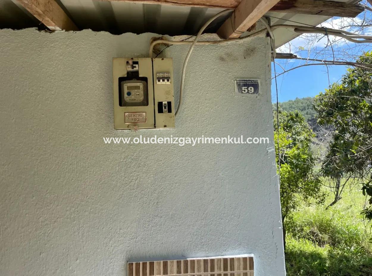 Mehrfamilienhaus Zum Verkauf In 5650M2 Feld In Zeytinalann