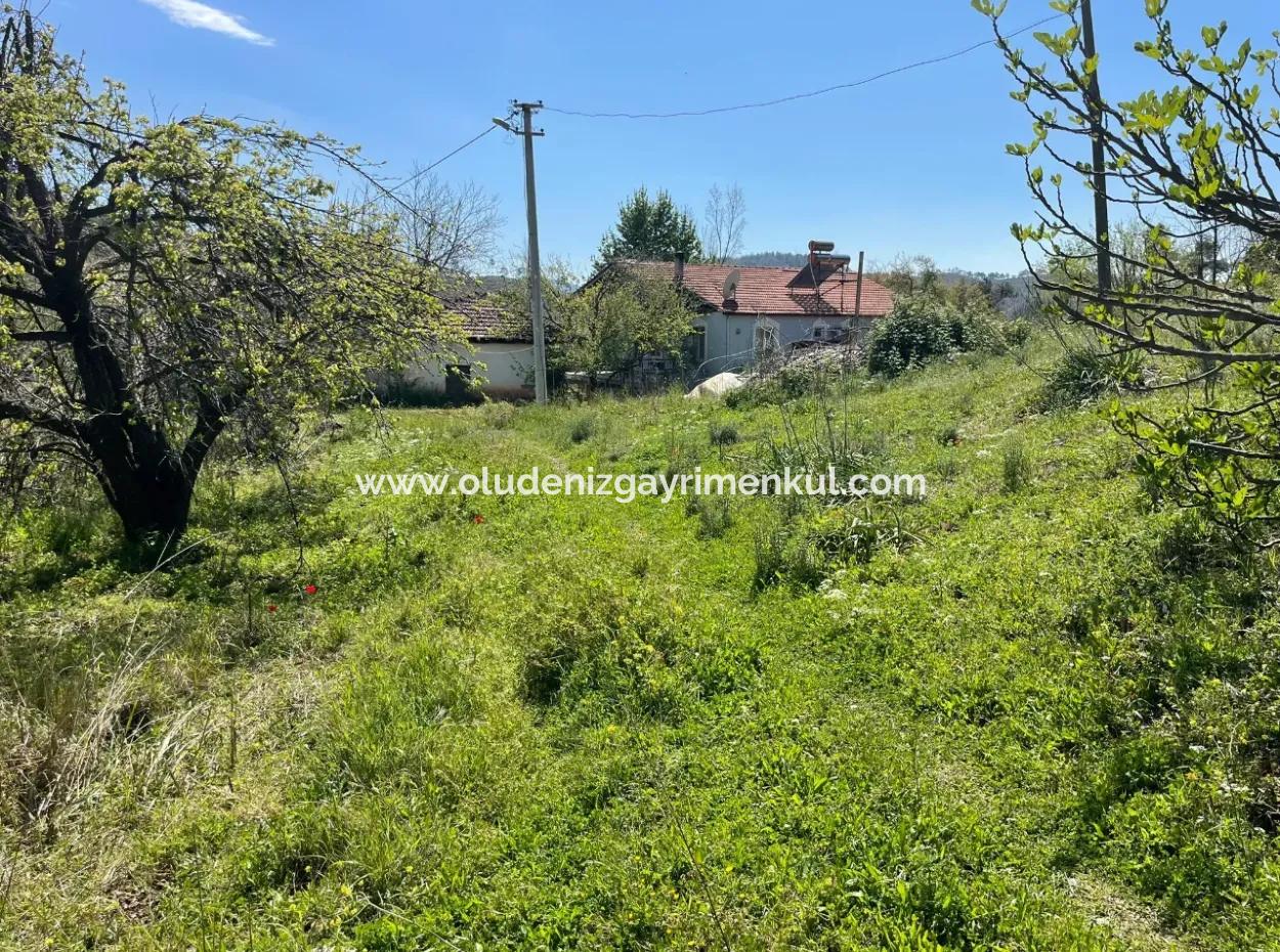 Mehrfamilienhaus Zum Verkauf In 5650M2 Feld In Zeytinalann