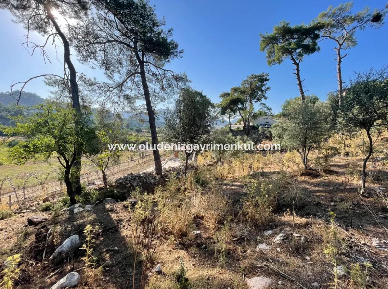 1.320M2 Feld Zum Verkauf Im Zentrum Von Çandır Am Wald