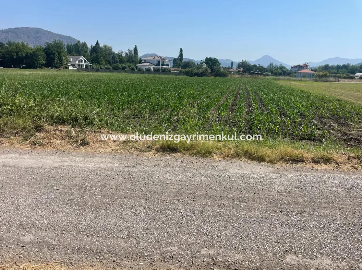 Grundstück Zum Verkauf Von 2715M2 Im Bebauten Gebiet Des Dorfes In Okçular