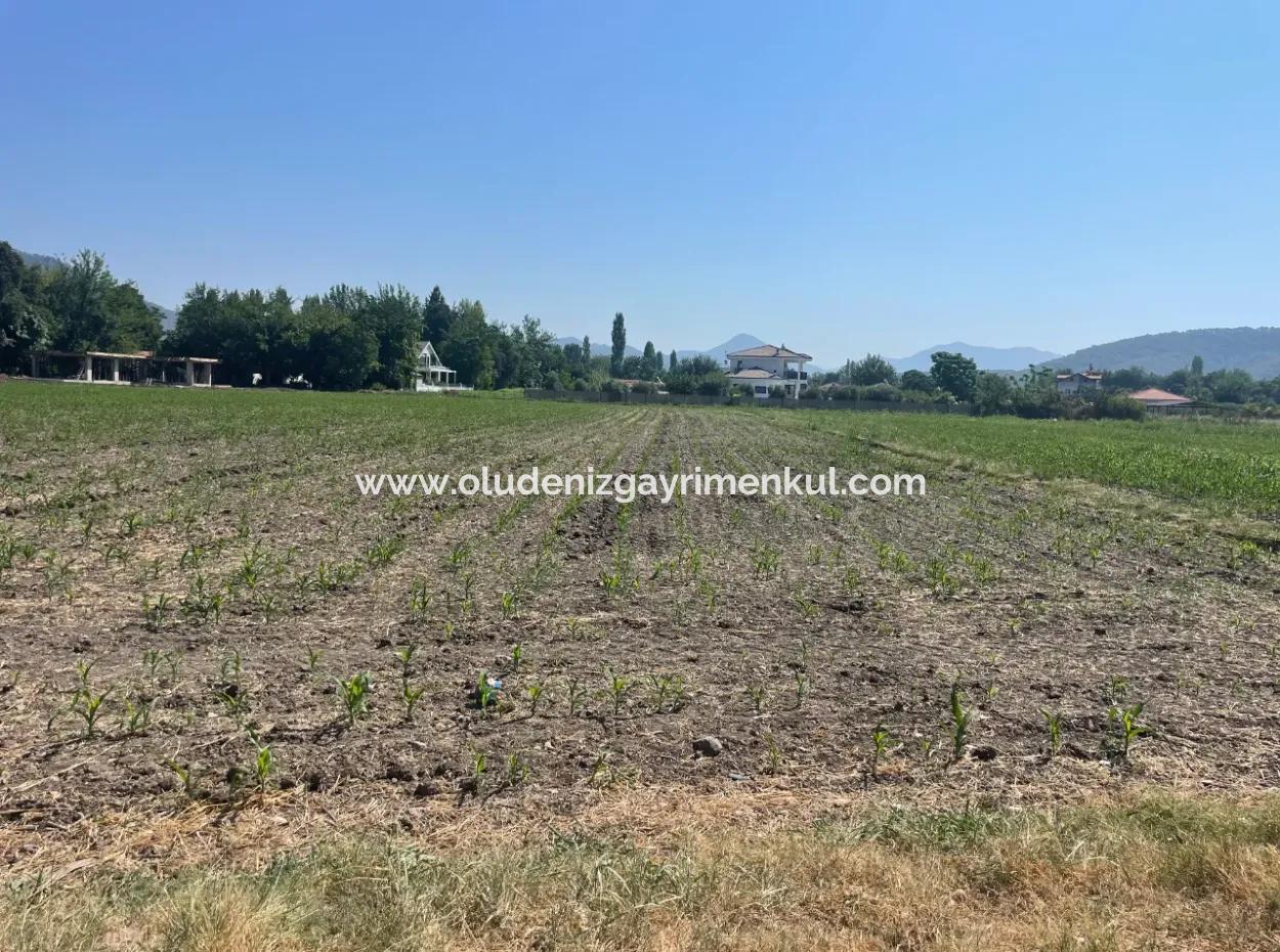 Grundstück Zum Verkauf Von 2715M2 Im Bebauten Gebiet Des Dorfes In Okçular