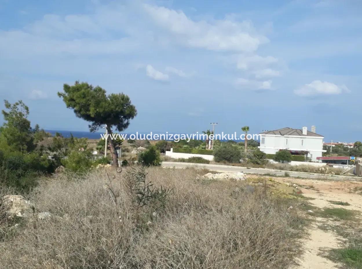 Grundstück Zum Verkauf In Der Nachbarschaft Von Çeşme Dalyan Mit Vollem Meerblick 1176M2 Zoneneinteilung