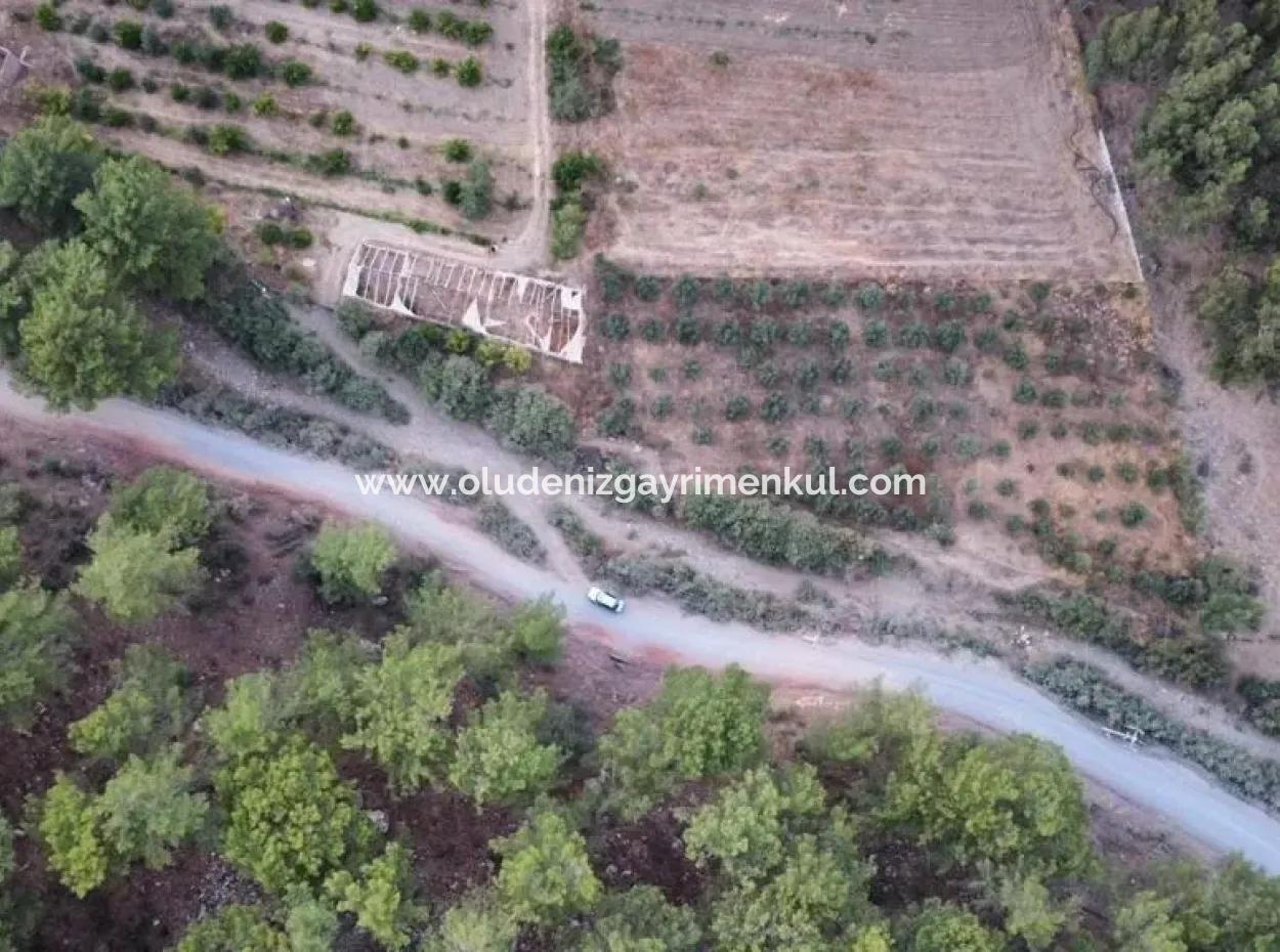 3578M2 Feld Zum Verkauf An Der Straße Von Aşı Koyu In Mergenlide