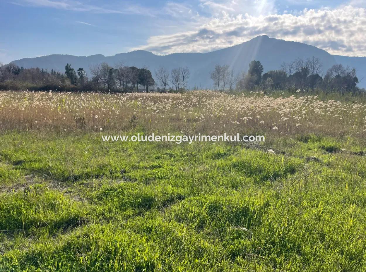 6800 M2 Grundstück Zum Verkauf In Dalyan Mit 5% Wohngebiet