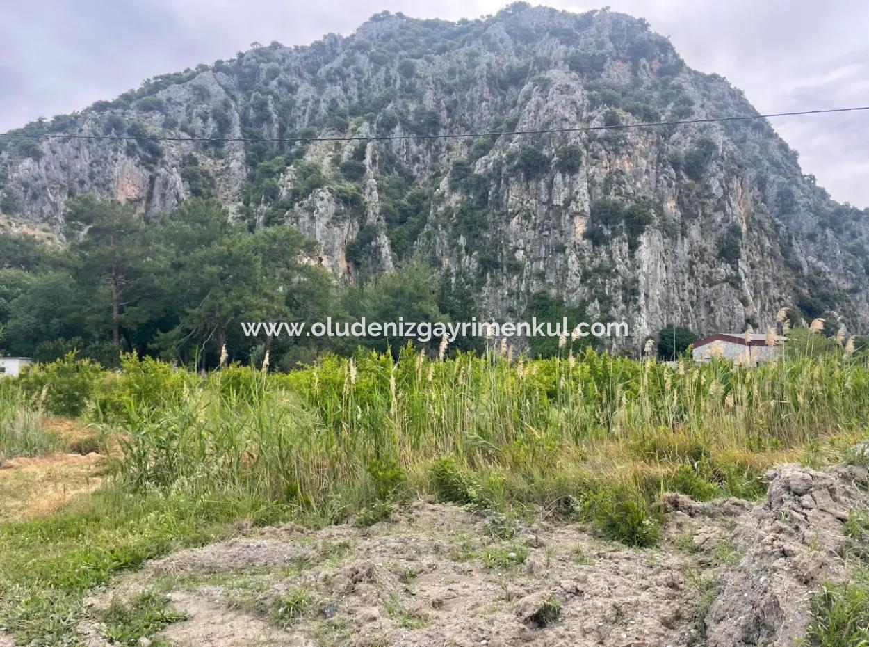 Feld Zu Verkaufen 6500M2 In Dalyan